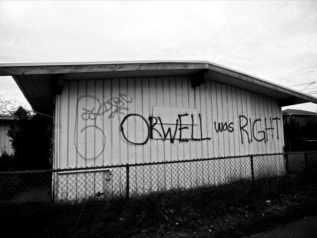 Photo courtesy of Shawn McClung. January 24, 2009, Roxhill, Seattle, WA, US